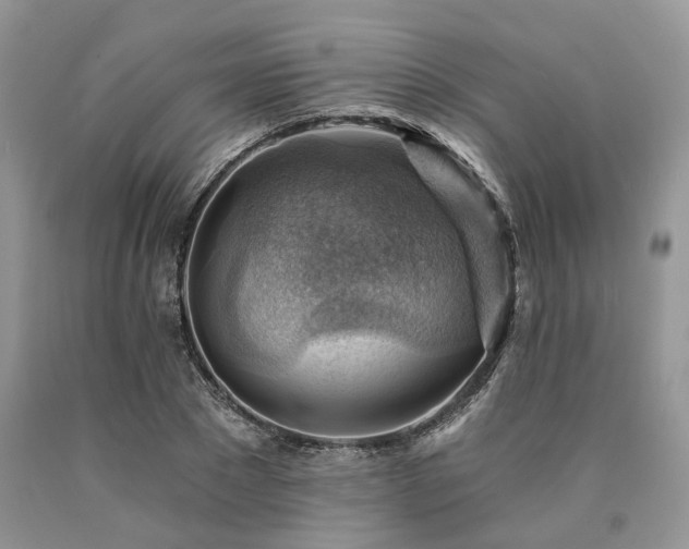 X0000090780881200707201521