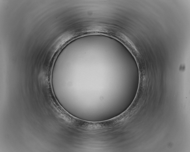 X0000090780882200707201521