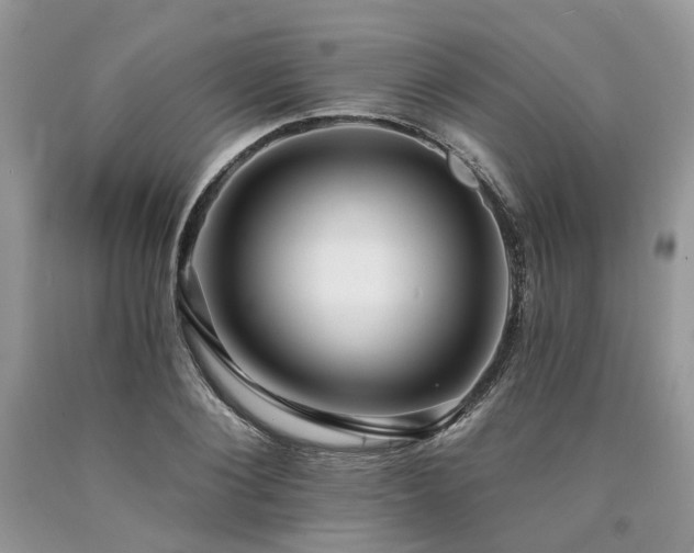 X0000090780884200707201521