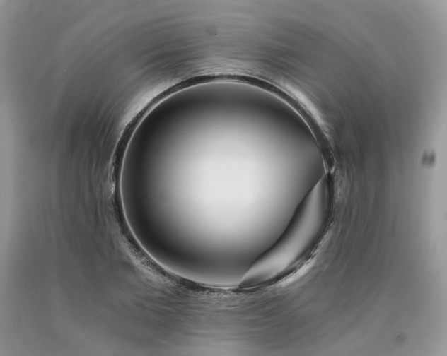 X0000090780885200707201521