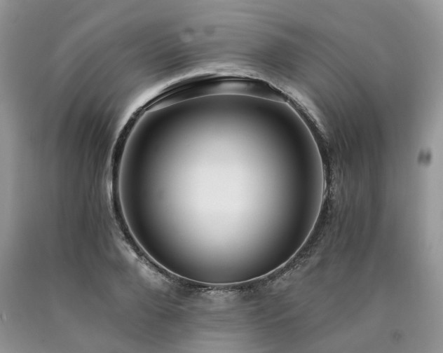 X0000090780888200707201521