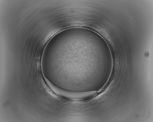 X0000090780889200707201521