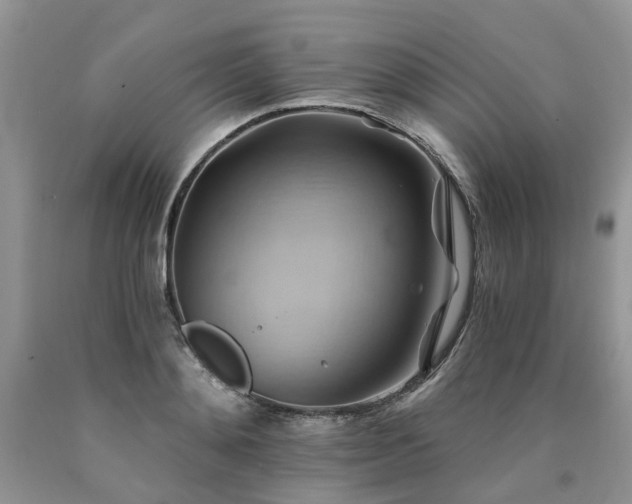 X0000090780892200707201521