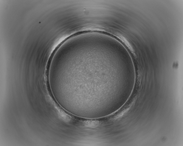 X0000090780893200707201521