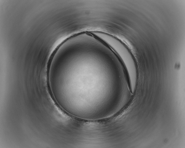 X0000090780894200707201521