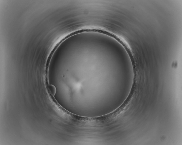 X0000090780895200707201521
