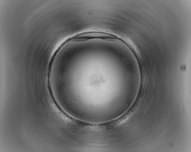 X0000090780896200707201521