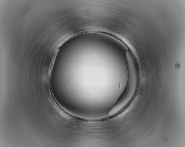 X0000090780897200707201521