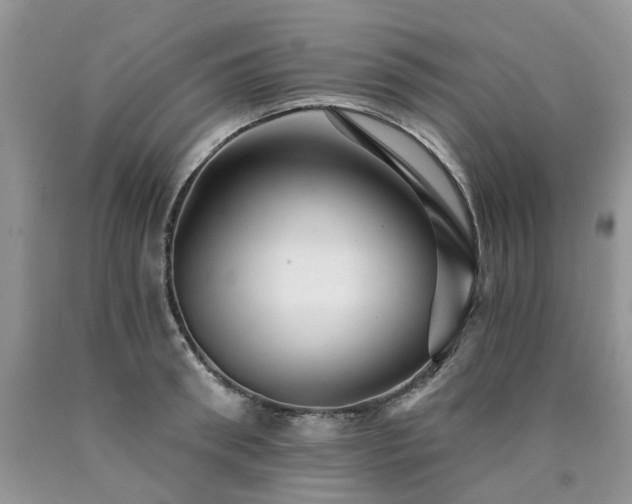 X0000090780898200707201521
