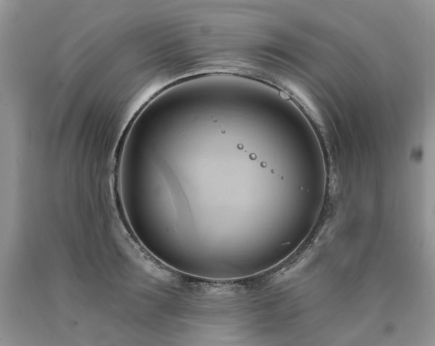 X0000090780899200707201521