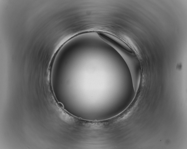 X0000090780900200707201521