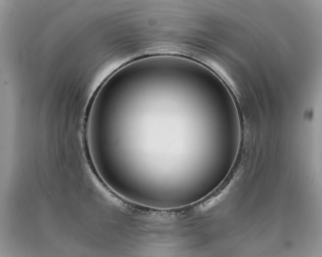 X0000090780901200707201521