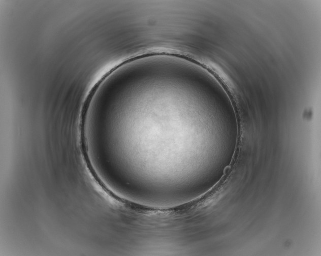 X0000090780902200707201521