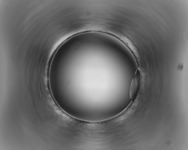 X0000090780904200707201521