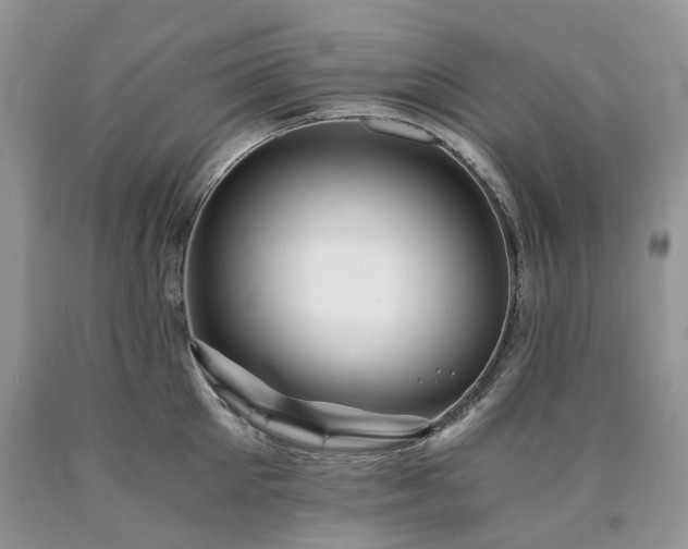 X0000090780905200707201521