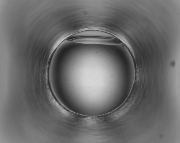 X0000090780906200707201521