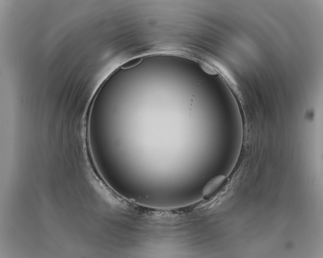 X0000090780907200707201521