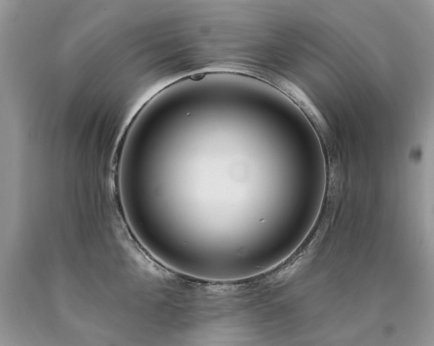 X0000090780908200707201521