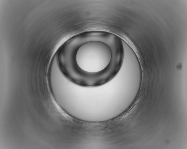 X0000090780909200707201521