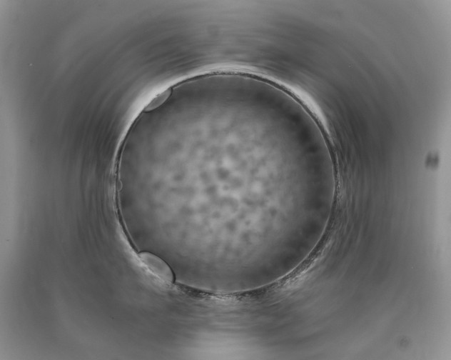 X0000090780911200707201521
