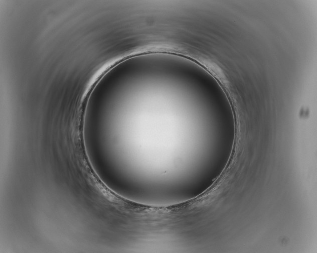 X0000090780912200707201521
