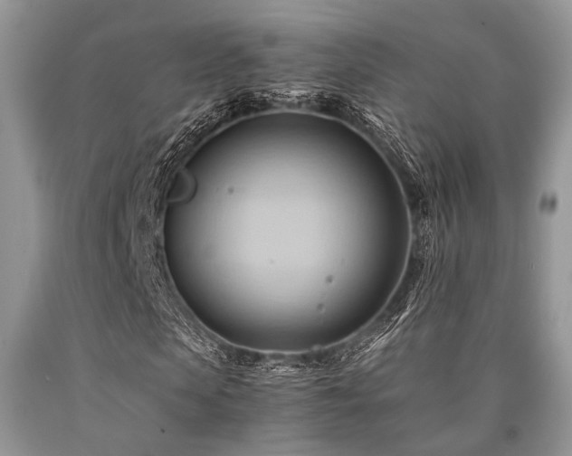 X0000090780913200707201520