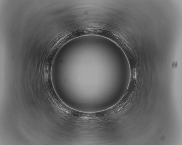 X0000090780915200707201520