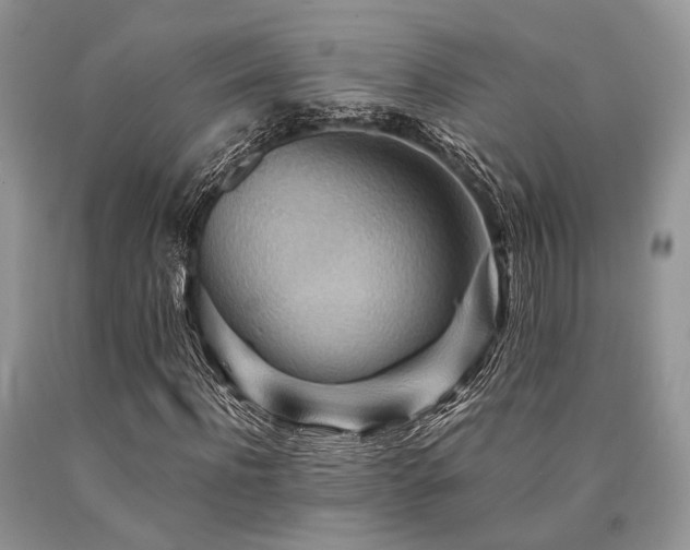 X0000090780916200707201520
