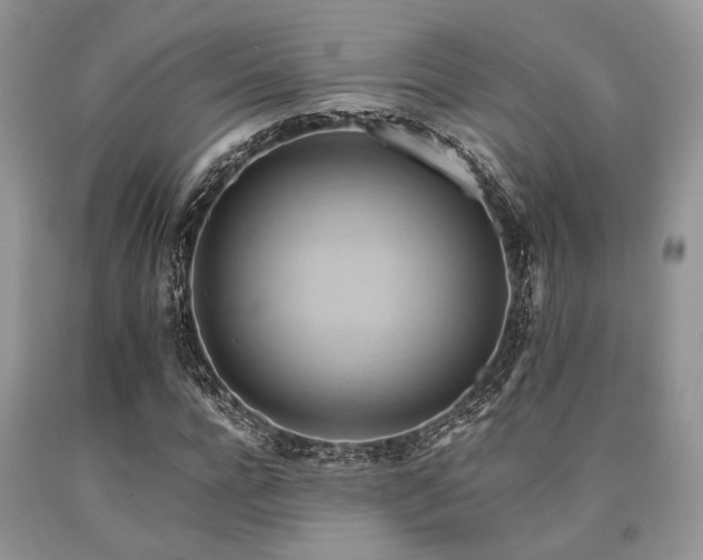 X0000090780920200707201520