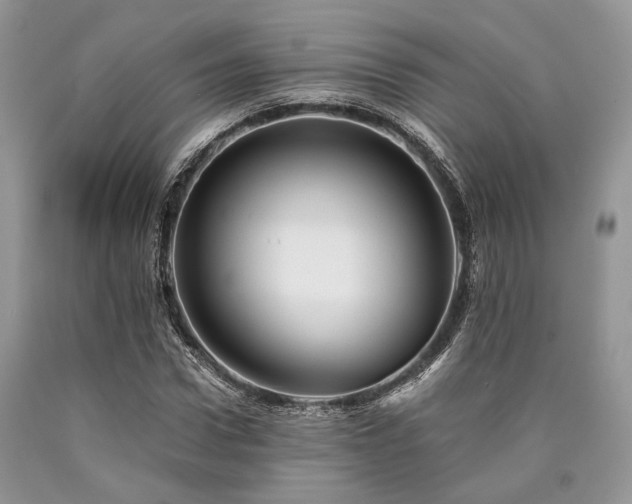 X0000090780922200707201520