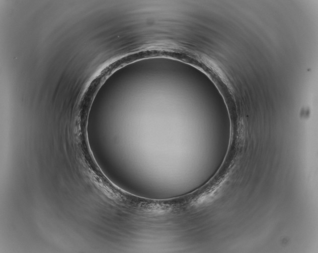 X0000090780923200707201520
