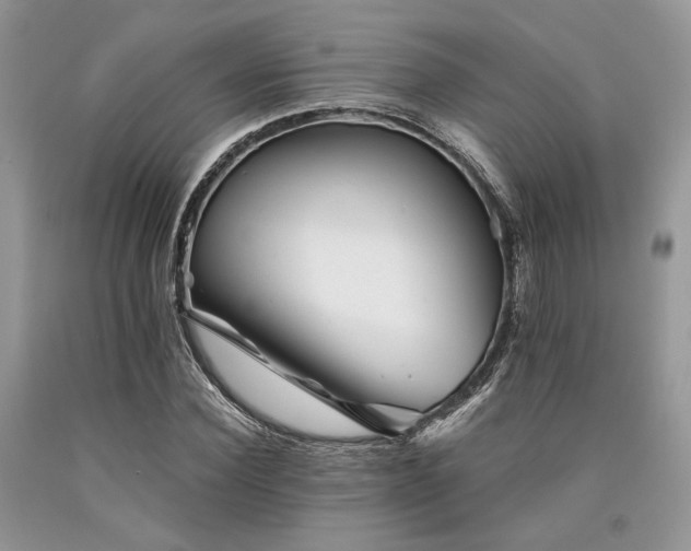 X0000090780924200707201520