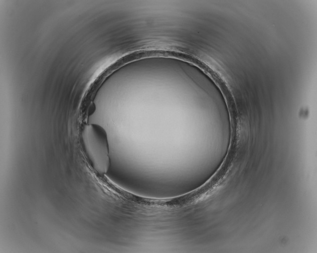 X0000090780925200707201520