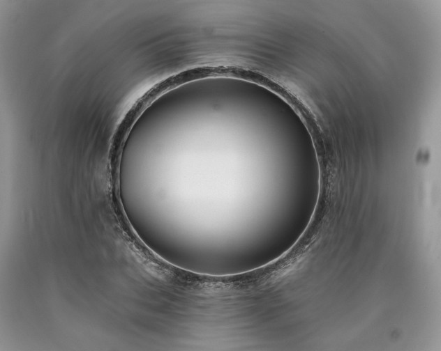 X0000090780927200707201520