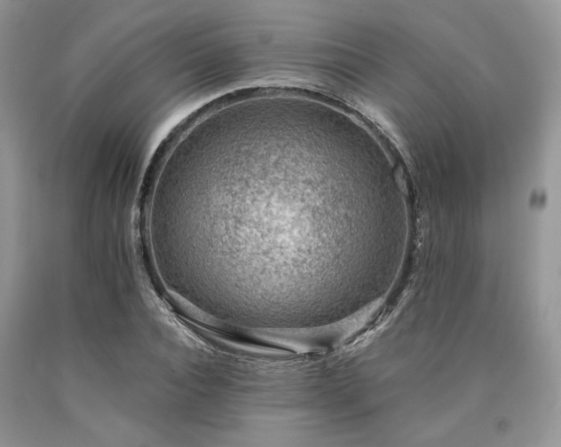X0000090780928200707201520