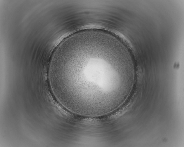 X0000090780929200707201520
