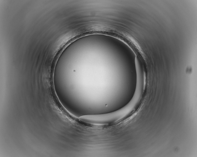 X0000090780930200707201520