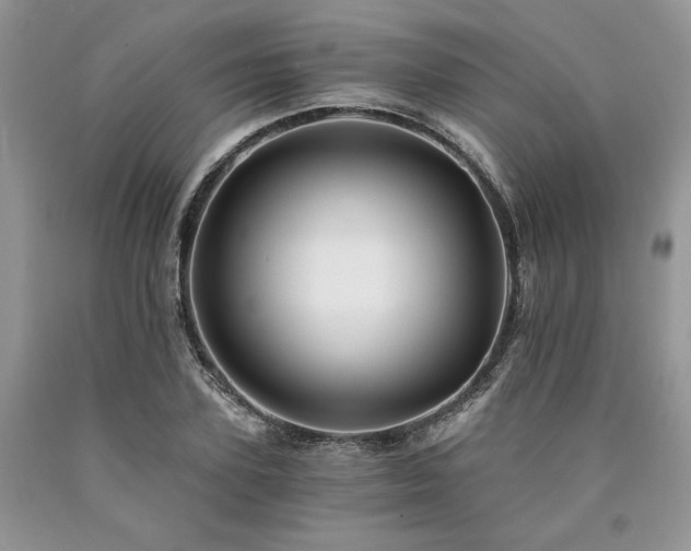 X0000090780931200707201520