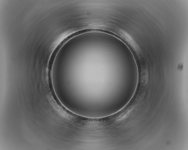 X0000090780932200707201521