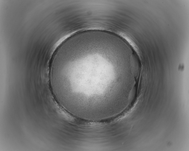 X0000090780933200707201521
