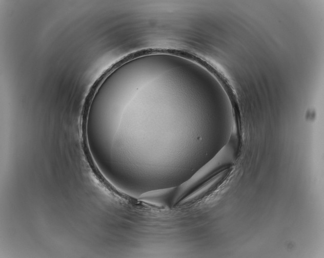 X0000090780935200707201521