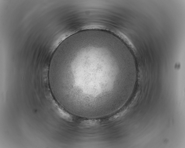 X0000090780937200707201521