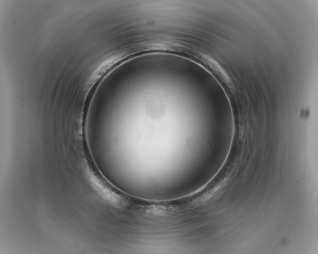 X0000090780938200707201521