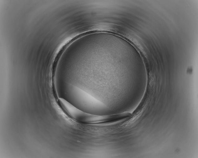 X0000090780939200707201521