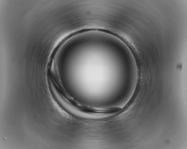 X0000090780942200707201521