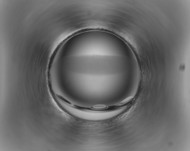 X0000090780943200707201521