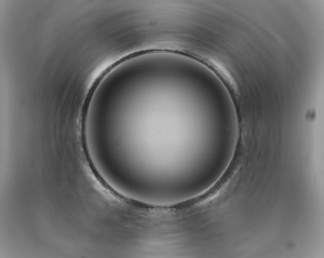 X0000090780944200707201521