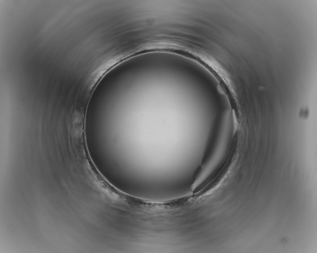 X0000090780945200707201521