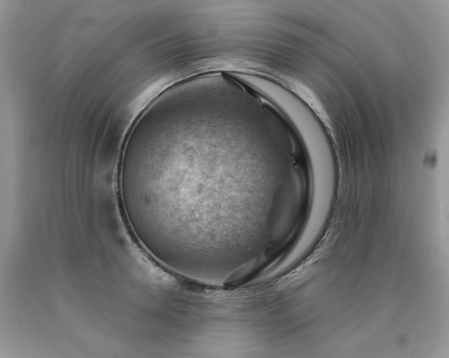X0000090780946200707201521