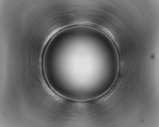 X0000090780947200707201521